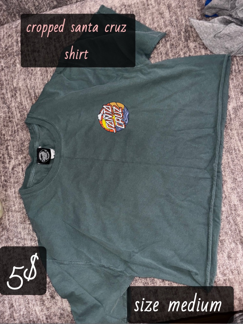 Santa Cruz Skateboards Women's Cropped Graphic Tee - Forest Green